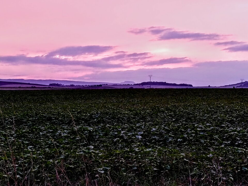 20220915_191420_HDR~3.jpg - lolek63