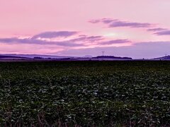 20220915_191420_HDR~3.jpg
