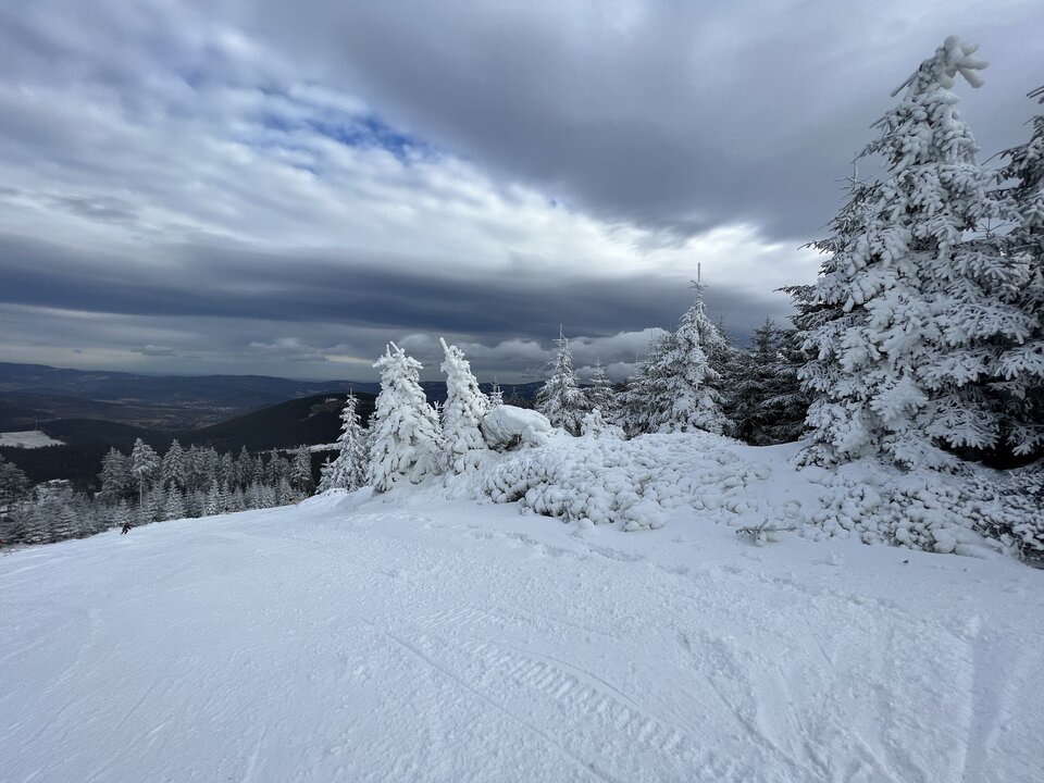 2314F5B3-2329-4D76-B75B-5F74CFC0DC5F.jpeg - Poz75