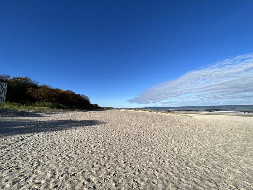 8C43C82D-0546-42E8-8152-AD95CAC1D4D7.jpeg - Poz75