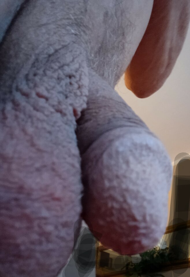 IMG_20230207_074353~2.jpg - 19Grzegorz55