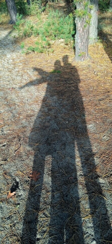 IMG_20221106_125143_1.jpg - AMfuck