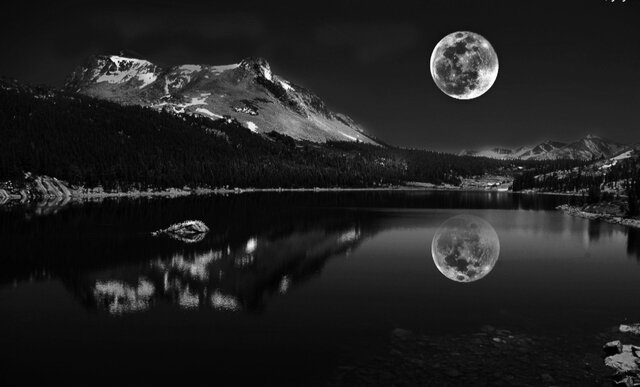 IMG_20230209_095125.jpg - _night_wish_