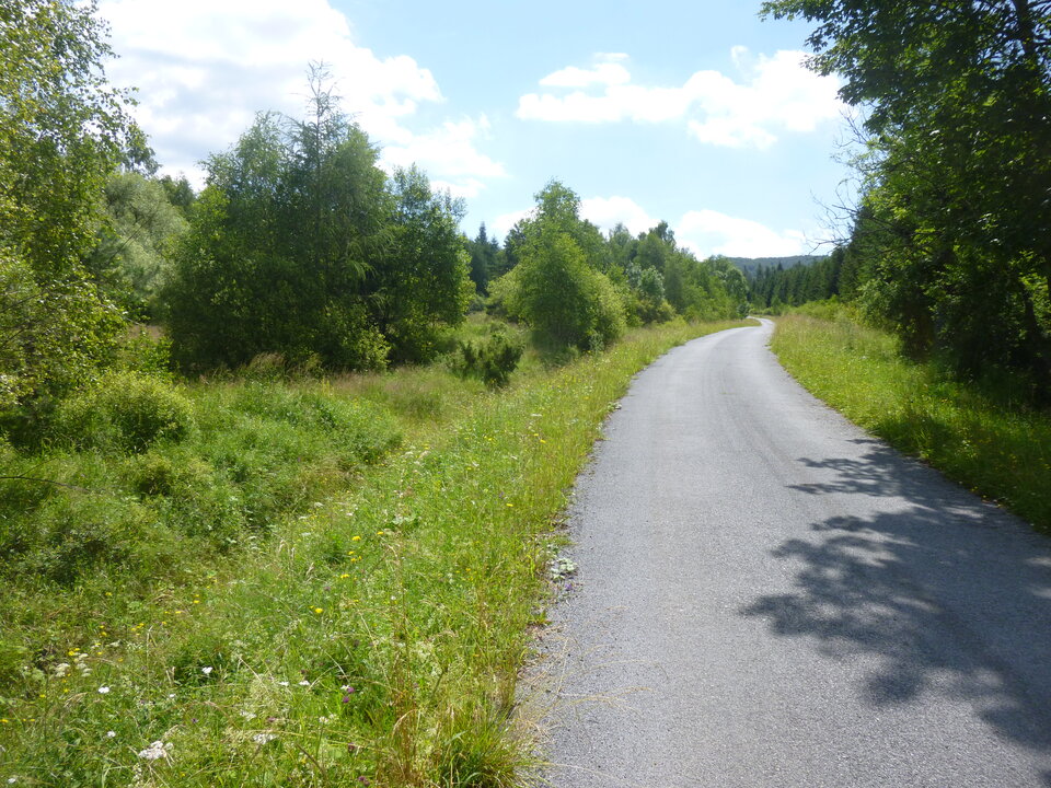 P1110327.JPG - ciastko1985