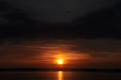 Nocka idzie a ty gdzie.JPG