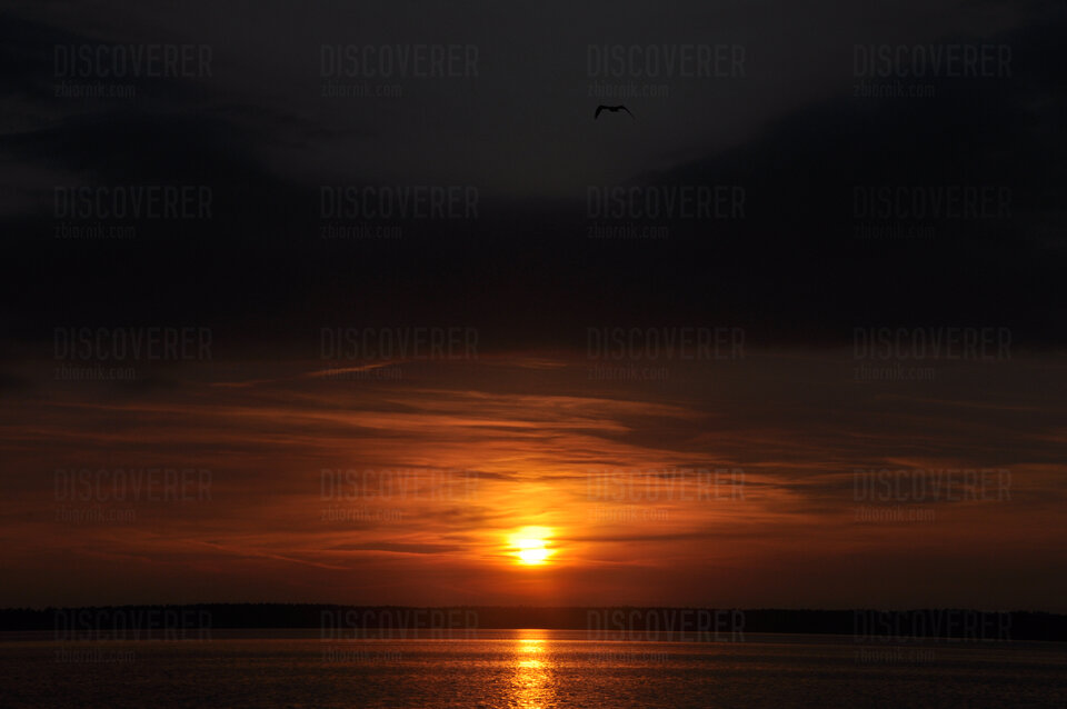 Nocka idzie a ty gdzie.JPG - Discoverer