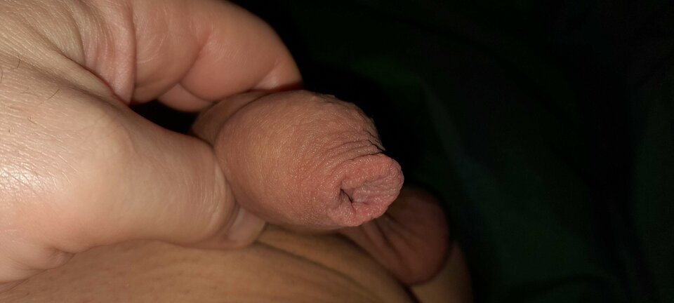 2023-02-05_23.15.08.jpg - robercu