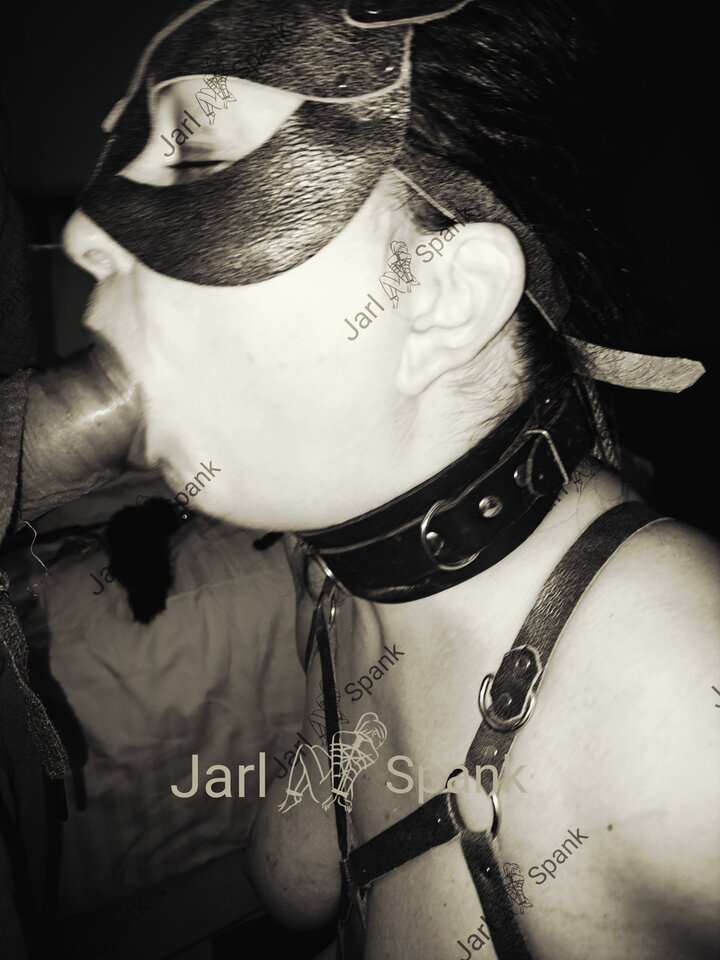 Polish_20230211_090402555.jpg - JarlSpank