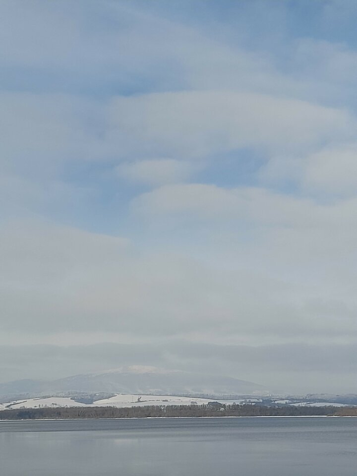 20230129_135431.jpg - Ambrozja2