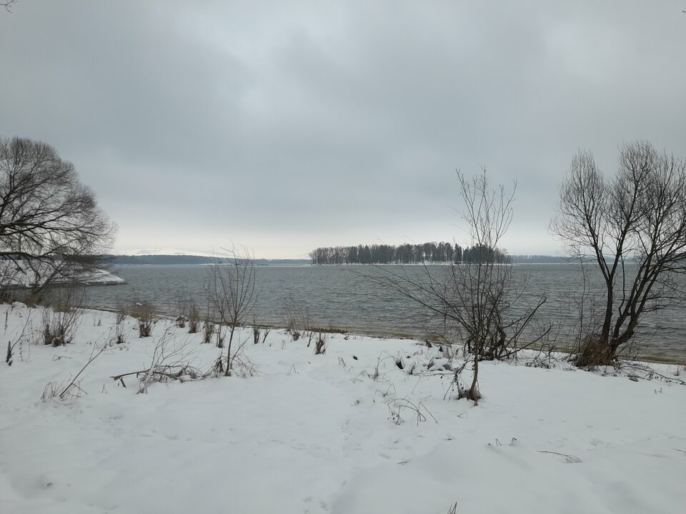20230128_093911.jpg - Ambrozja2