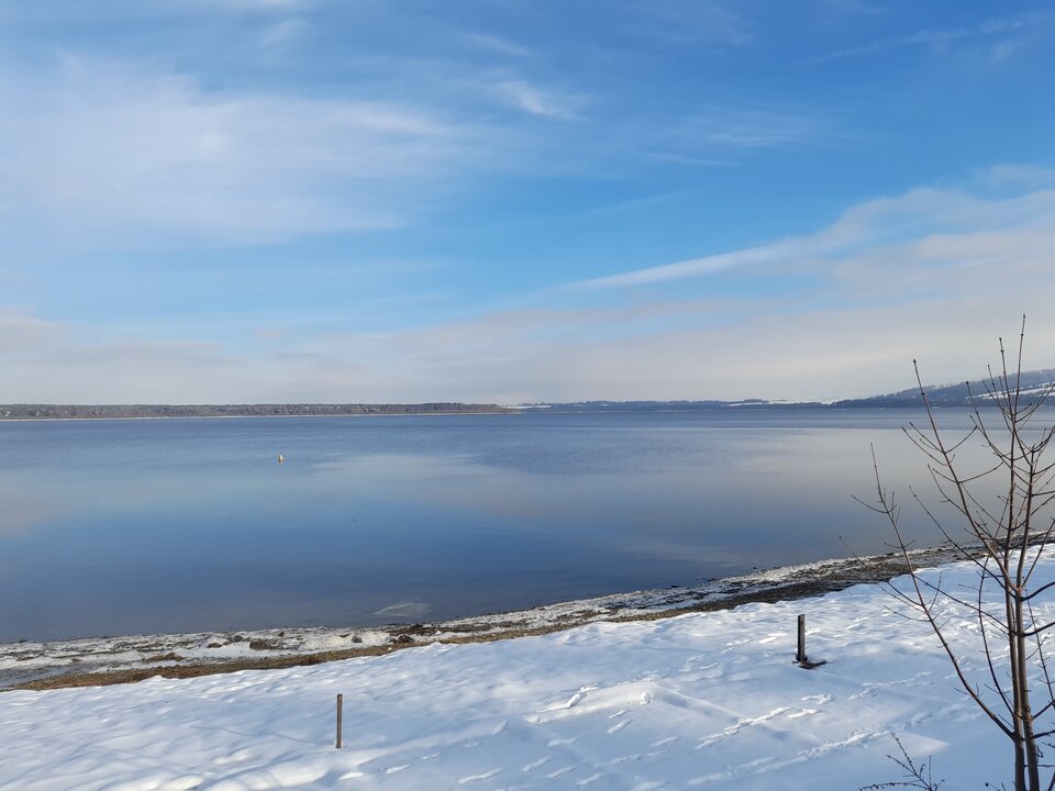 20230129_135349.jpg - Ambrozja2