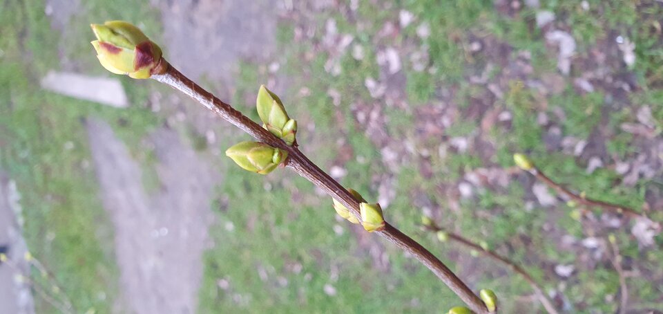 20230111_145502.jpg - Nice71