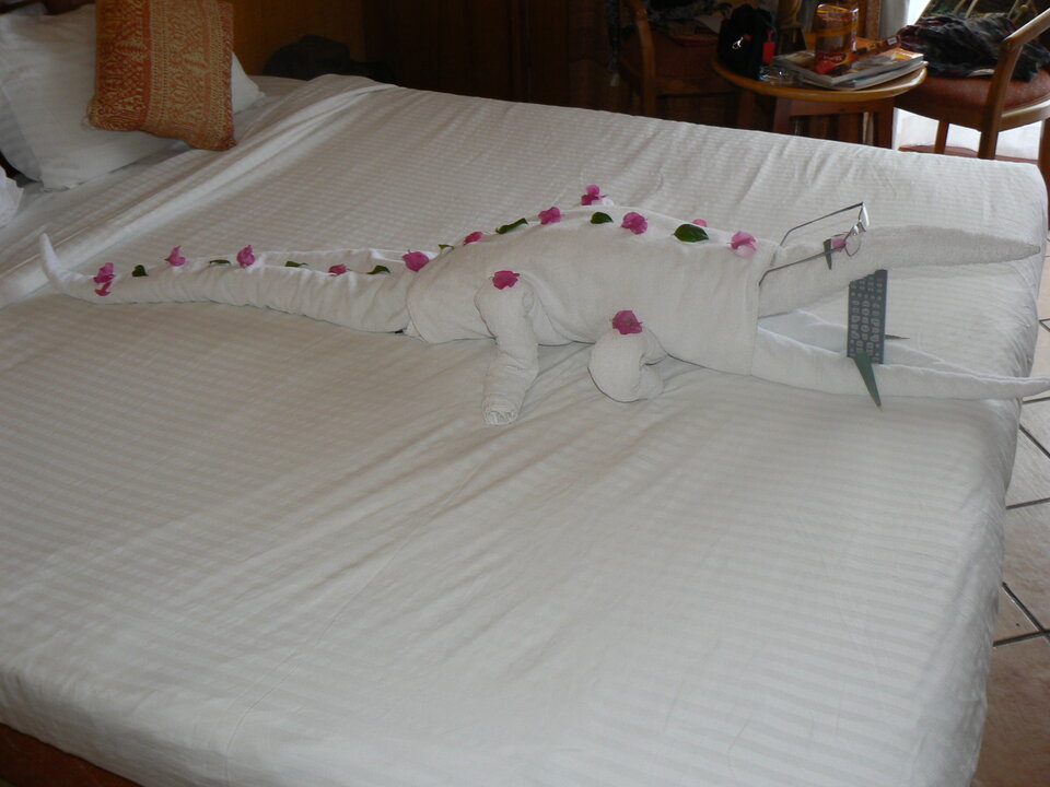 P1060117.JPG - Lone_Ride