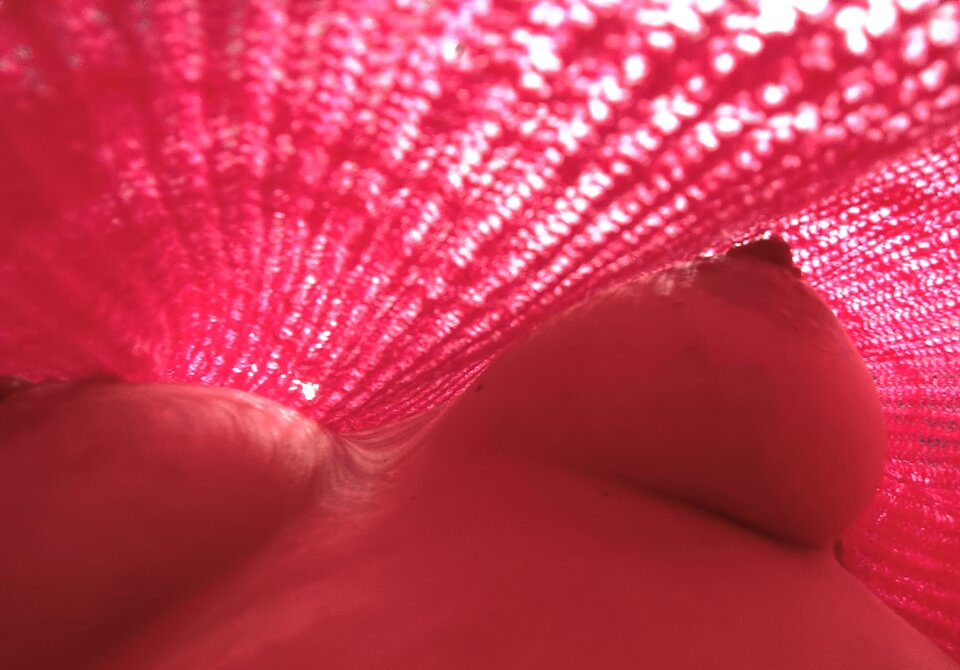 IMG_20230211_234515.jpg - LilouJV