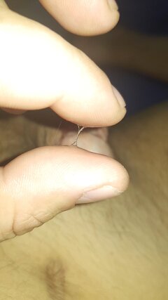 20230212_074943.jpg