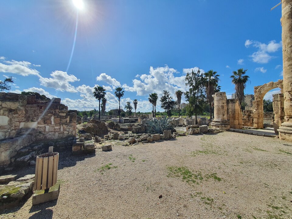 20230204_114210.jpg - kon86