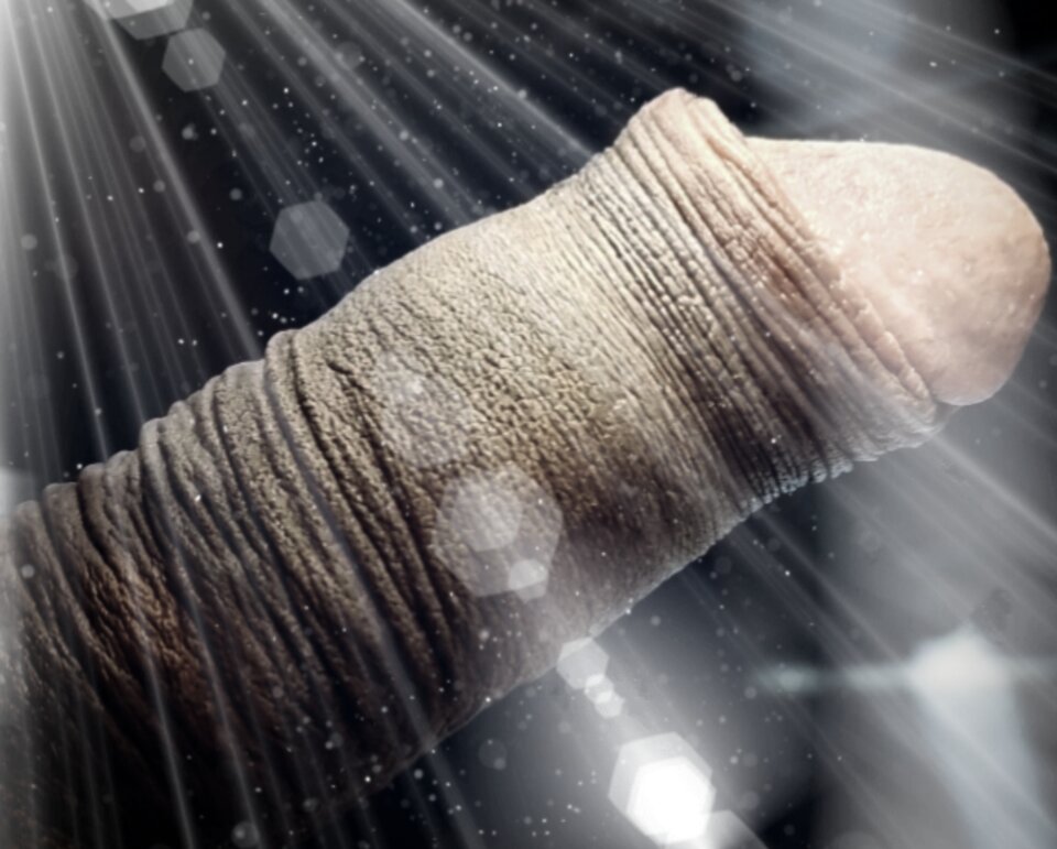 Polish_20230124_083716027.jpg - parareal33