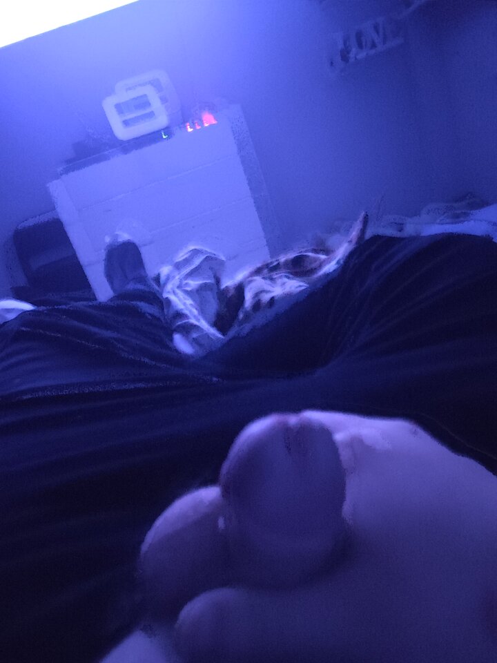 16762187847048602829478297240757.jpg - koli88