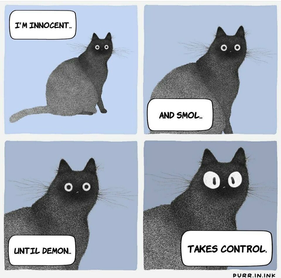 20230212_172712.jpg - LaceLady