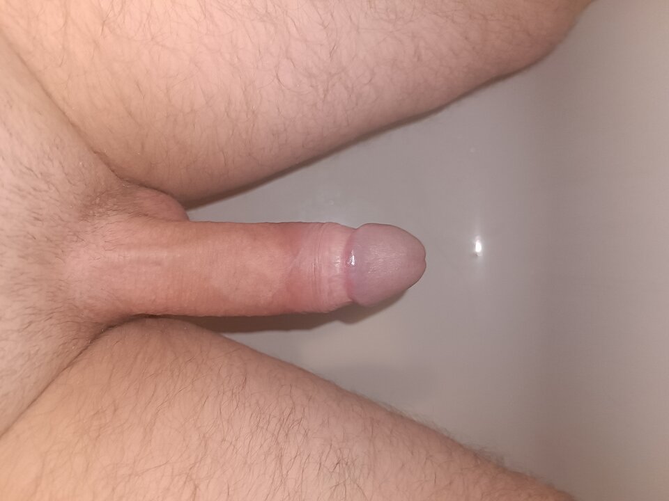 IMG_20230212_231159.jpg - mlafar