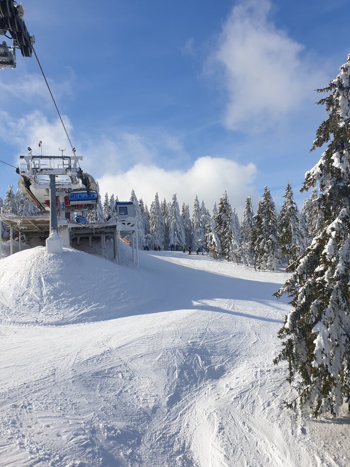 20230212_121340.jpg - Sokrates976