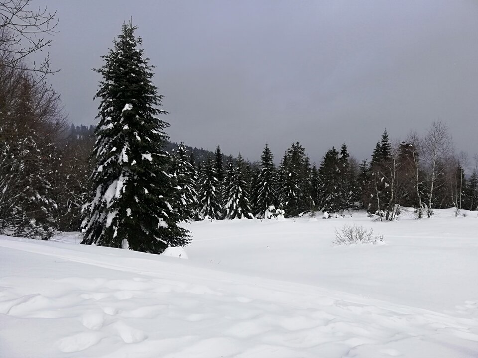 IMG_20230213_111510.jpg - Gimlii73