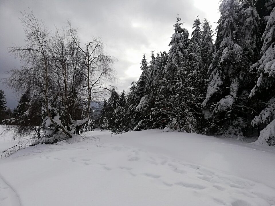 IMG_20230213_111449.jpg - Gimlii73