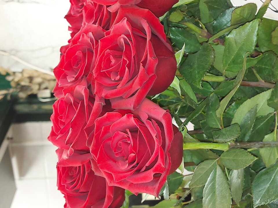 20230213_222105.jpg - A7REPPU