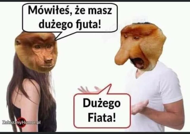 received_752129592908386.jpeg - zwierzak167