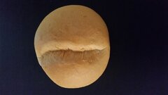 20230214_084932.jpg
