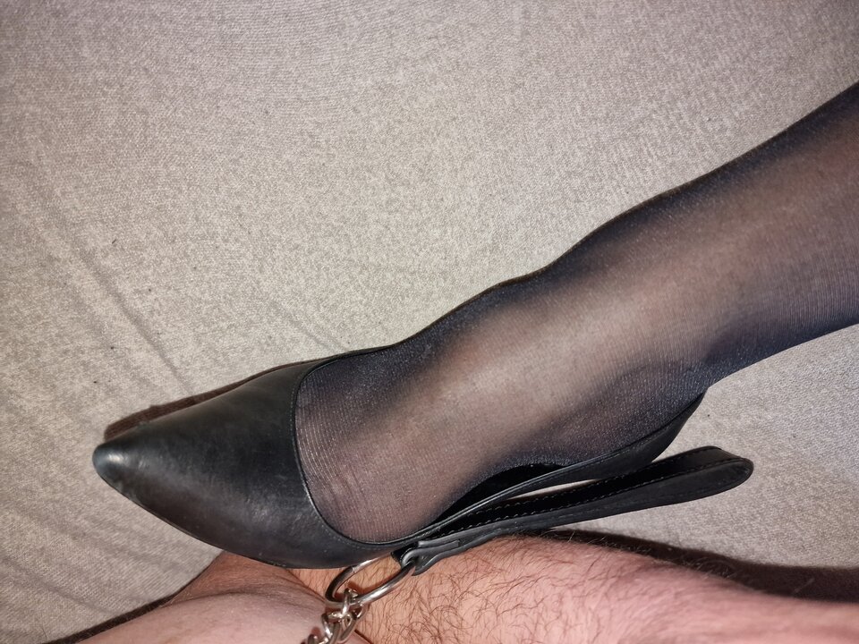 20230214_092556.jpg - Damaijelonek