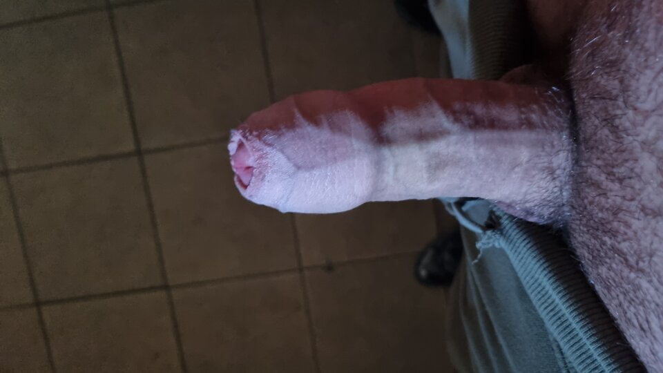 16764492253745842936969899459969.jpg - WyssamCie69