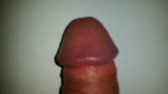 20230215_101735.jpg