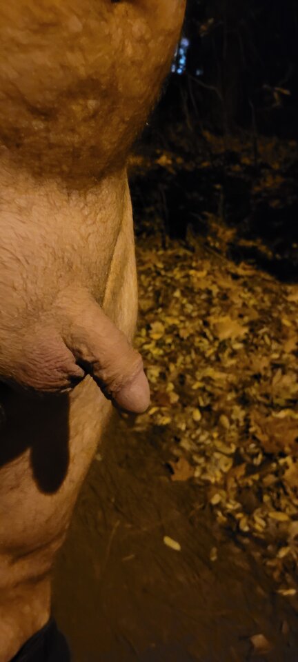 20221108_002014.jpg - naturystek