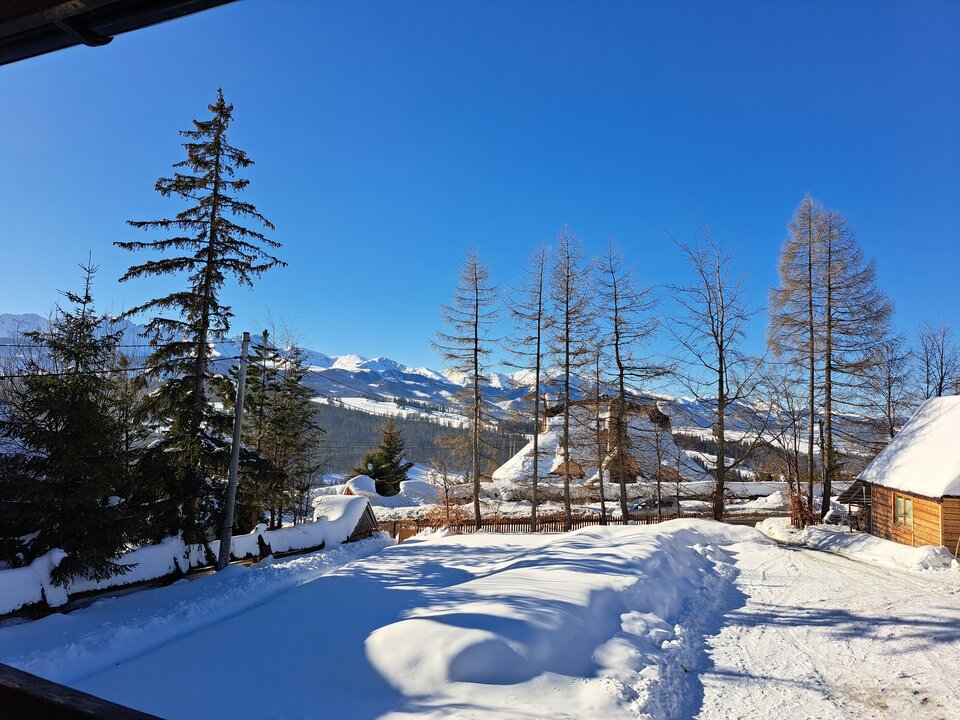 20230215_094258.jpg - RudaPaskuda1