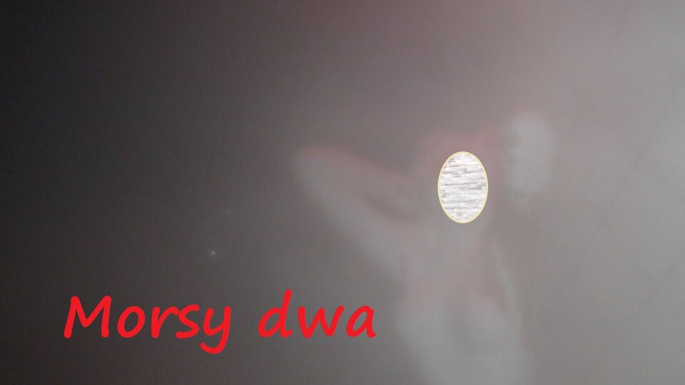 Wczorajsze Walentynki. - Morsy_dwa