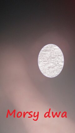 Sauna, parowa i  ............ tyle widać !!!