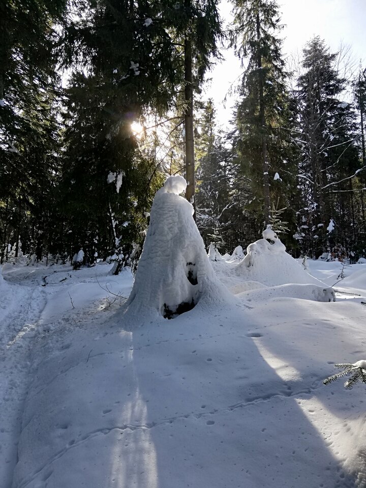 IMG_20230216_113310.jpg - Gimlii73