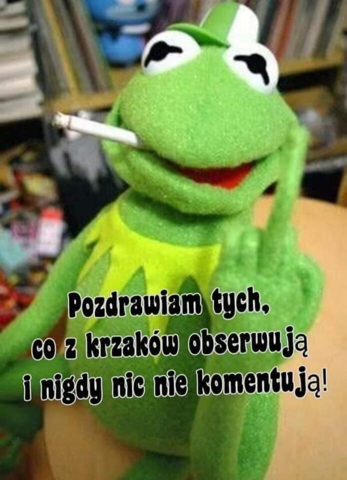 2354.jpg - PiggyiKermit