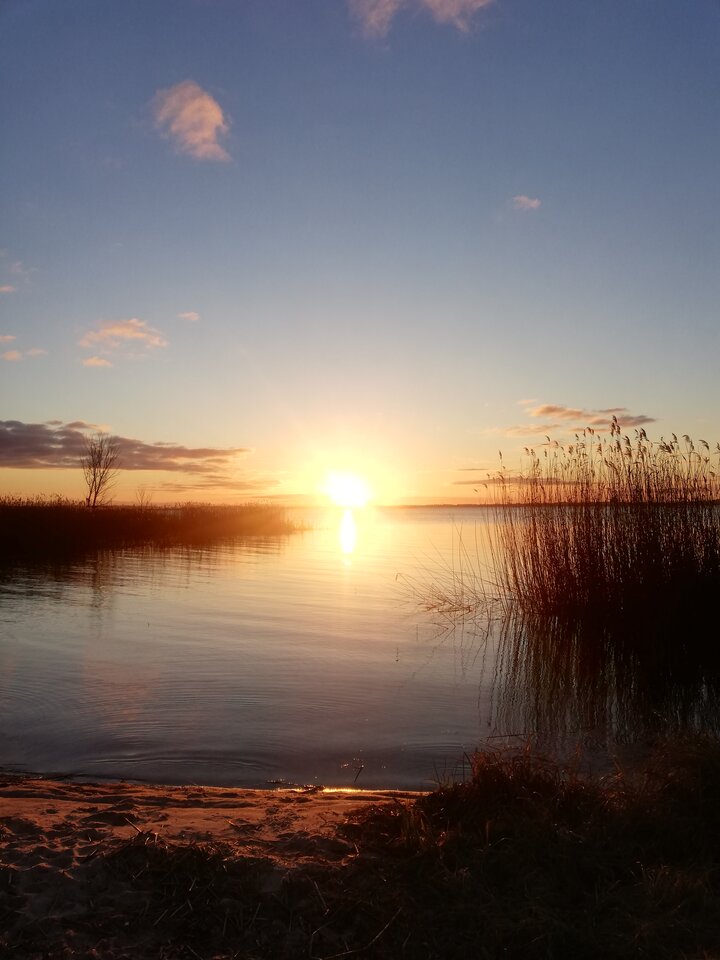 IMG_20230127_162007.jpg - torii99