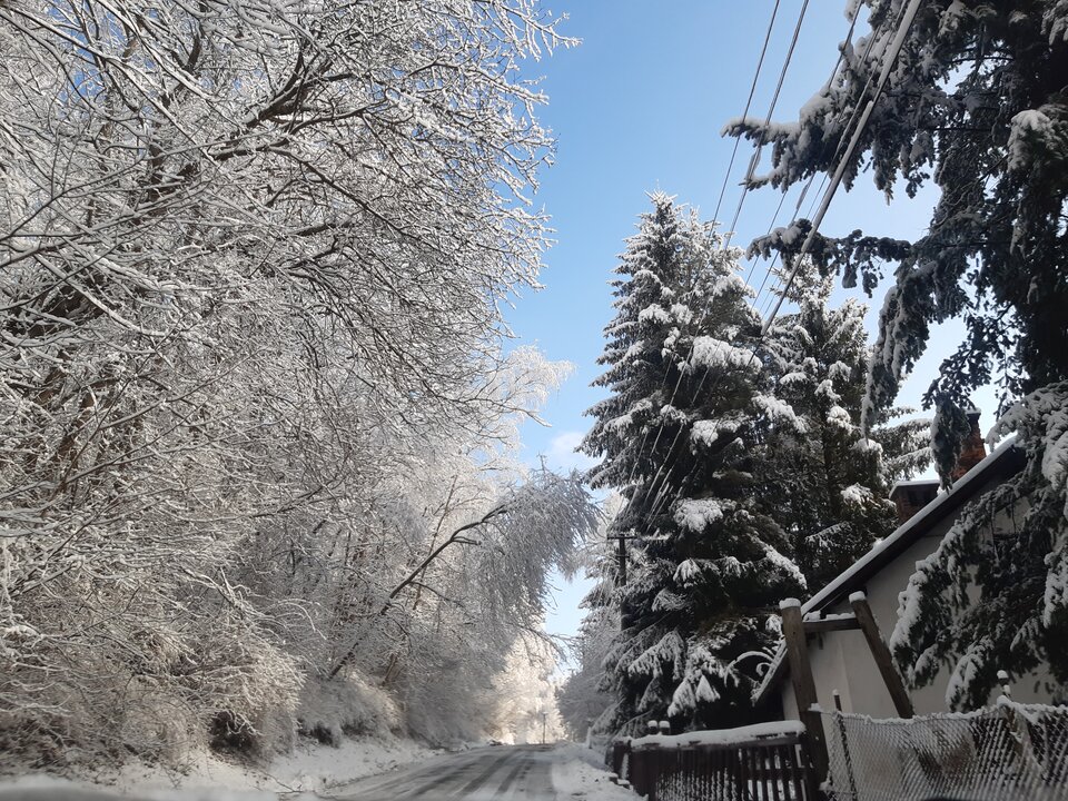 20211127_104350.jpg - torii99