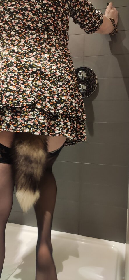 Lisiczka 🦊 - piditv