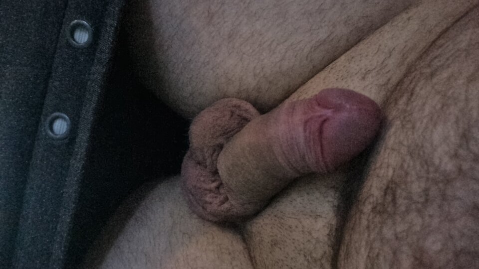 16766687962682672383288828173336.jpg - WyssamCie69