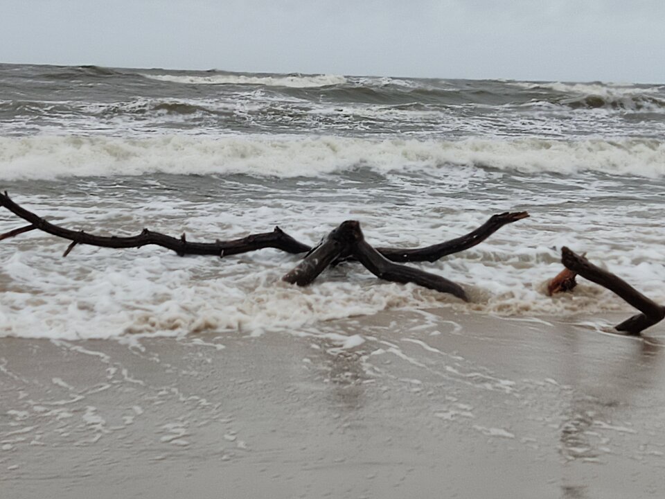 IMG_20230218_135848.jpg - edytkaandrzej