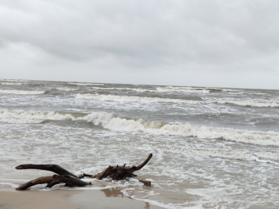 IMG_20230218_135830.jpg - edytkaandrzej