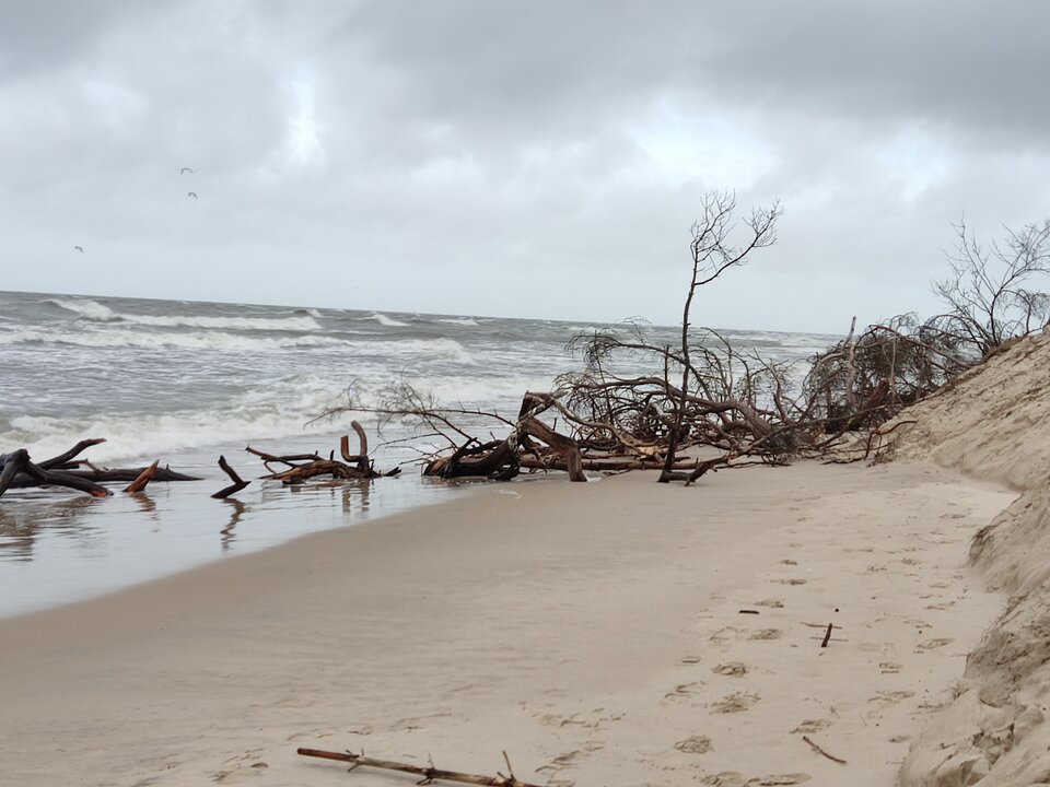 IMG_20230218_135823.jpg - edytkaandrzej