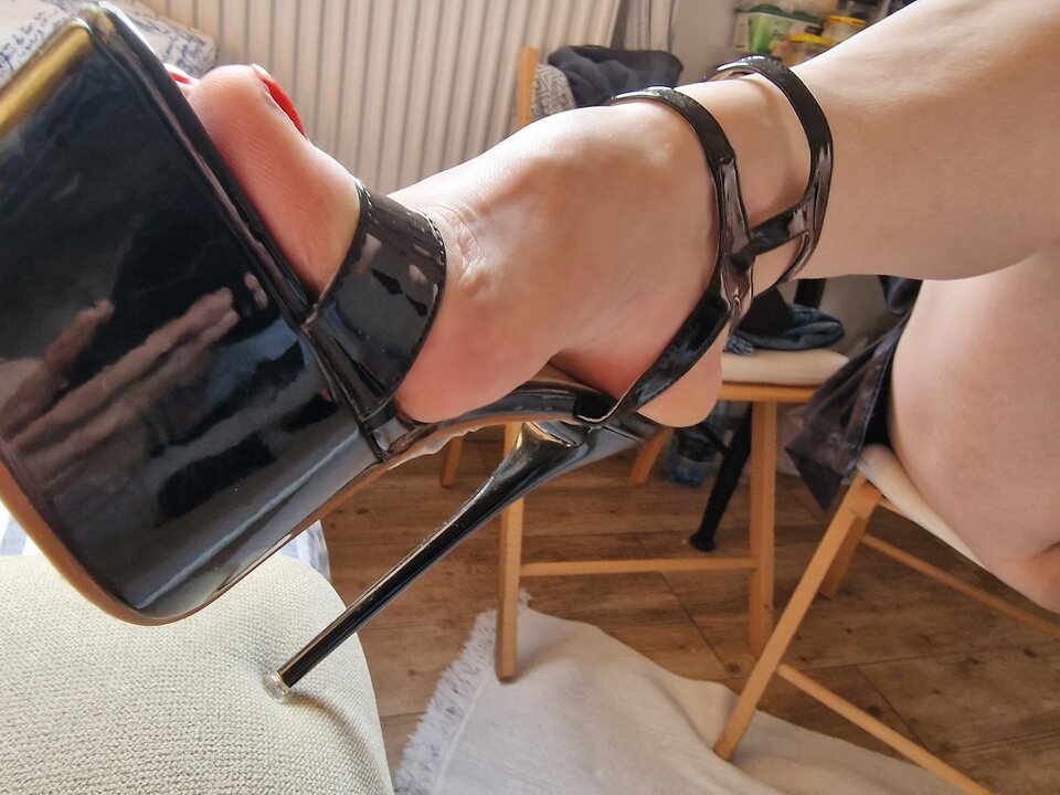 20230218_101642.jpg - Damaijelonek