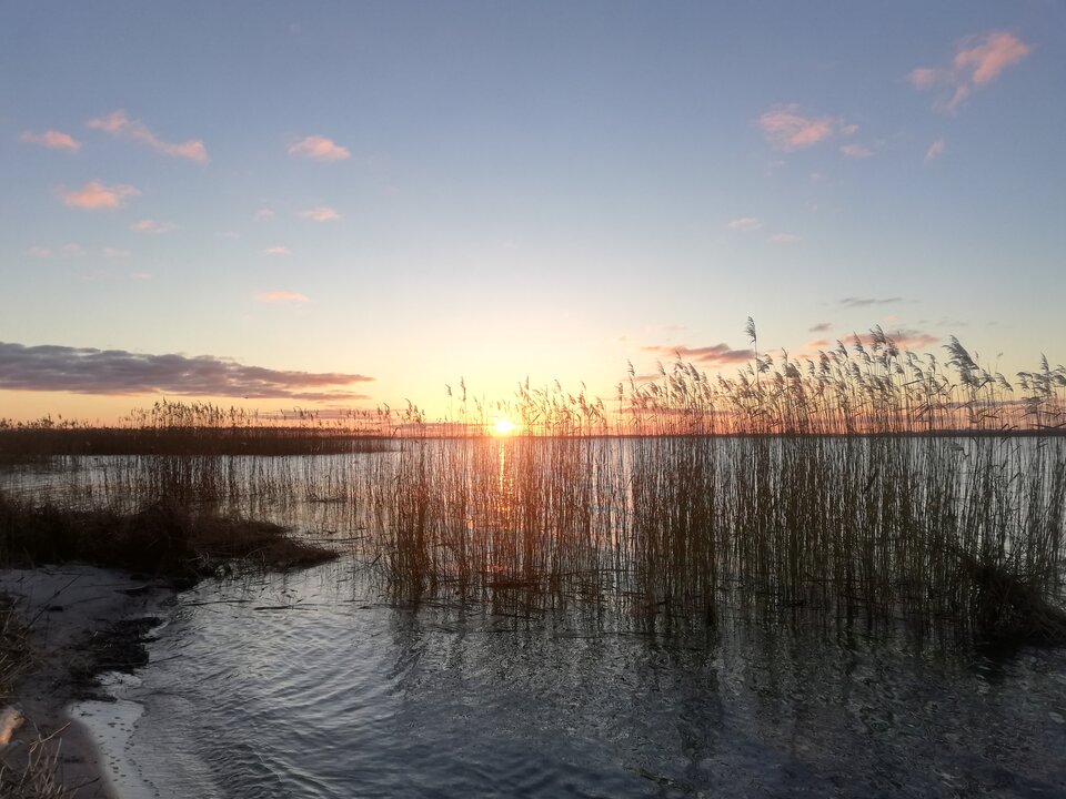 IMG_20230127_162328.jpg - torii99