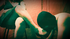 uwielbiam jak piesek całuje me nogi