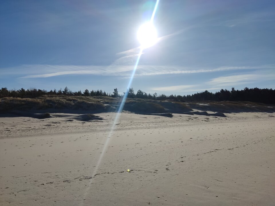 IMG_20230219_111041.jpg - edytkaandrzej